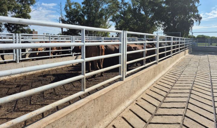 Instalaciones ganaderas 2