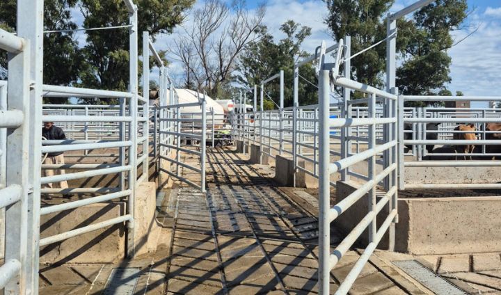 Instalaciones ganaderas 5