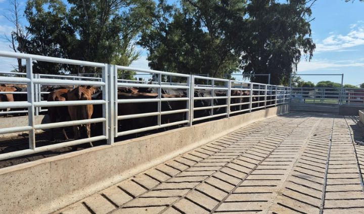 Instalaciones ganaderas 6