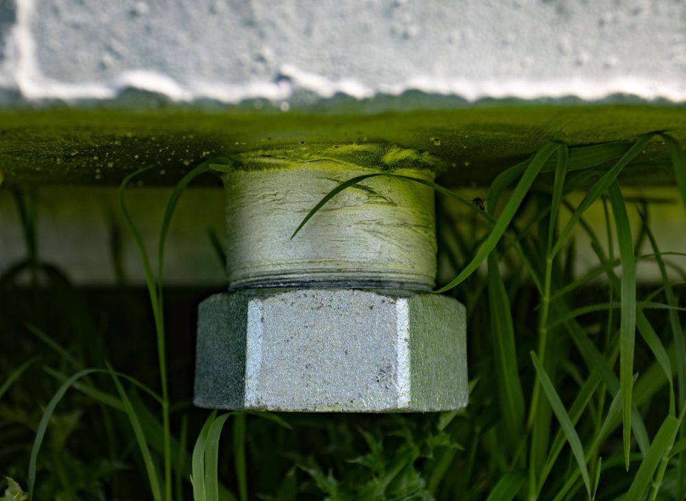 Bebederos circulares 3