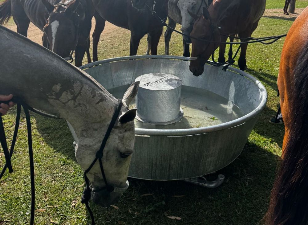 Bebederos circulares 5