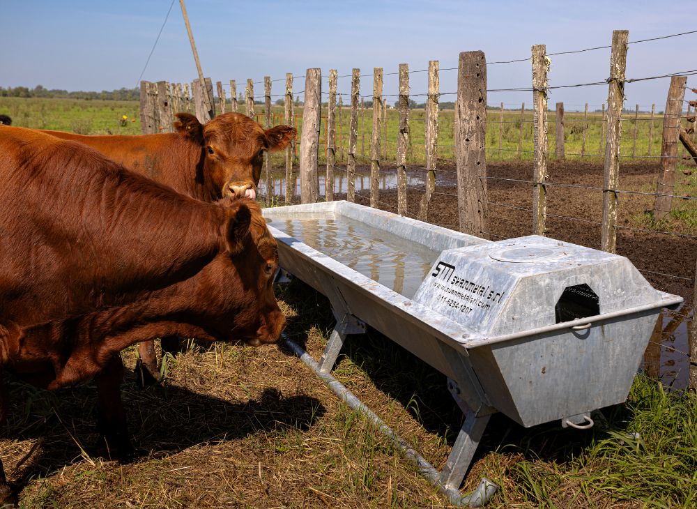 Bebederos lineales 2