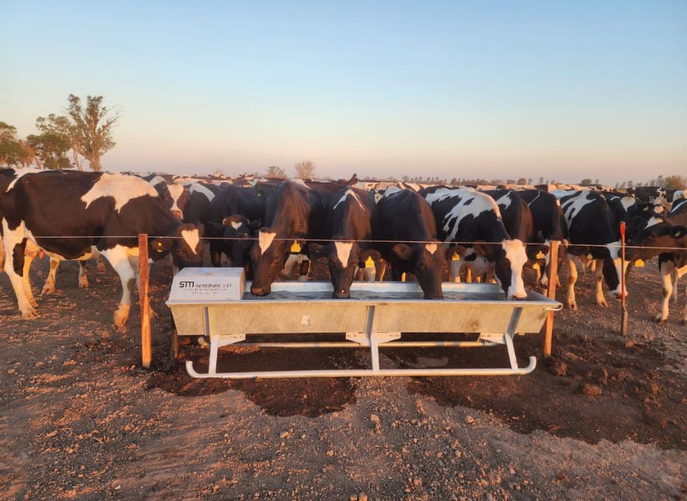 Bebederos lineales 7