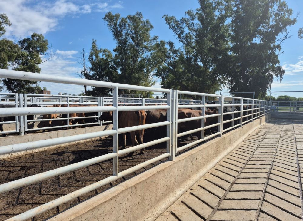 Paños fijos y móviles 0