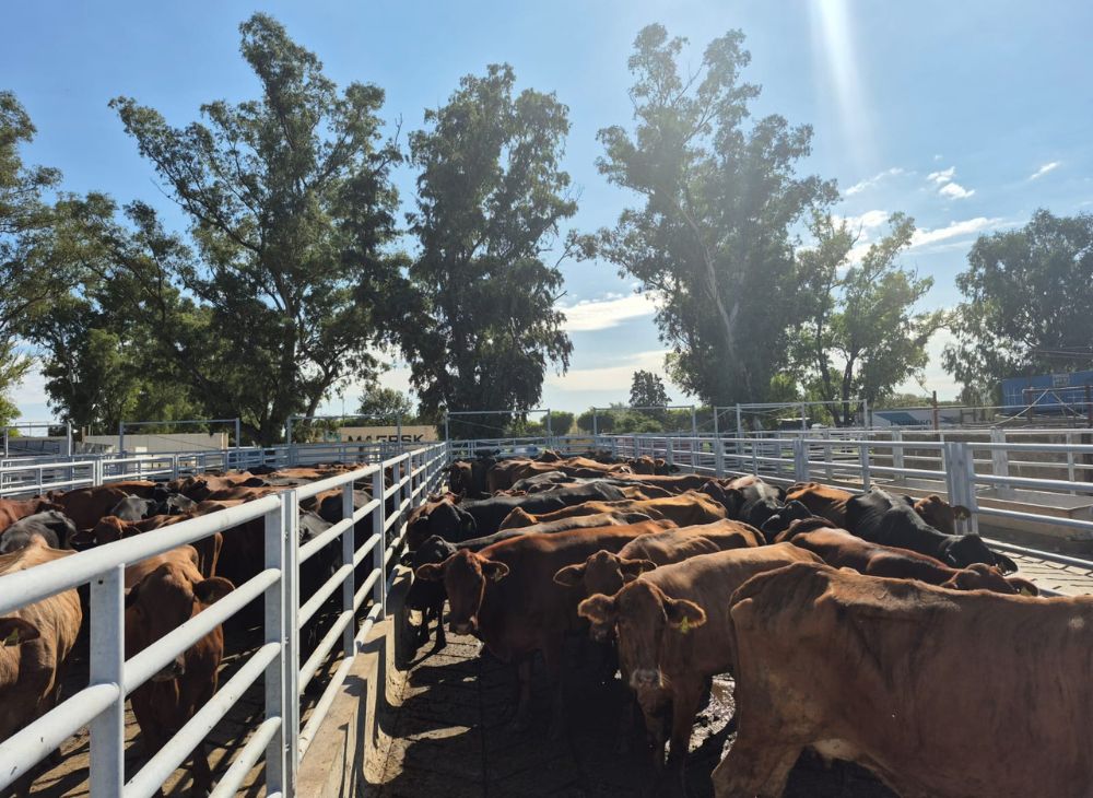 Paños fijos y móviles 1