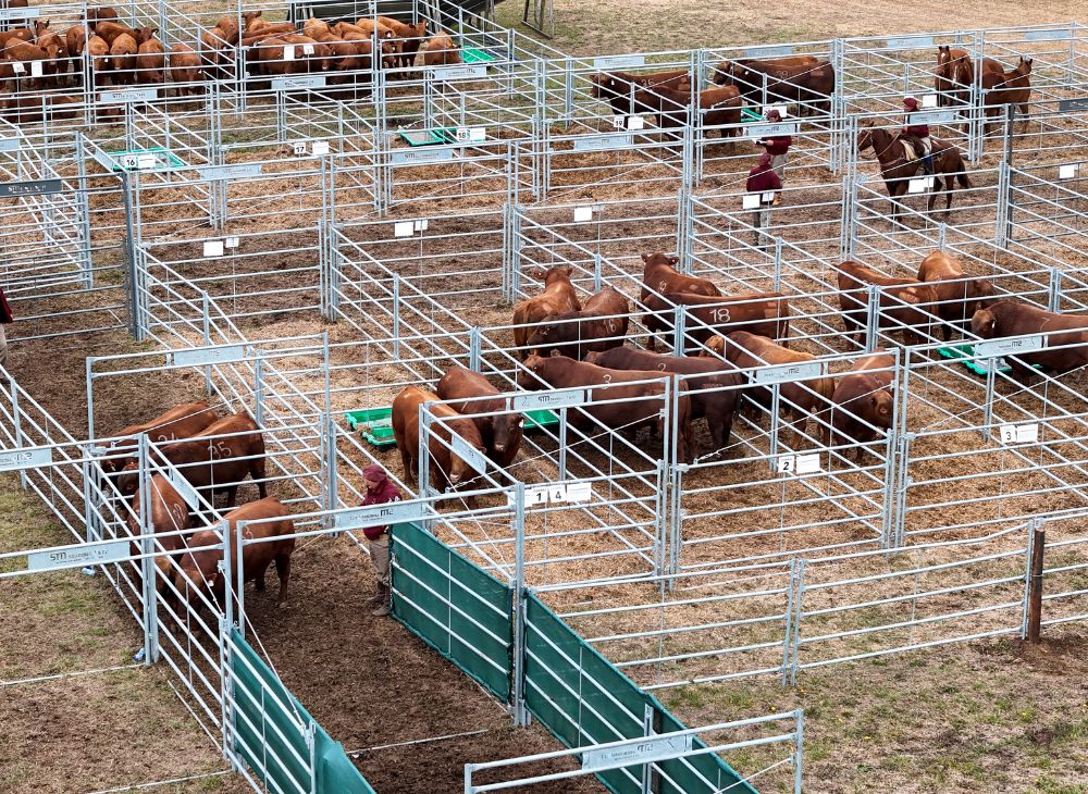 Paños fijos y móviles 4