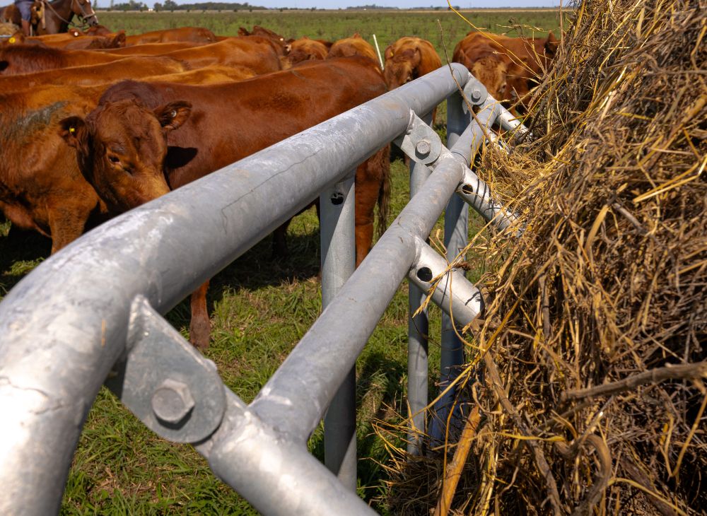 Porta rollo horizontal 3