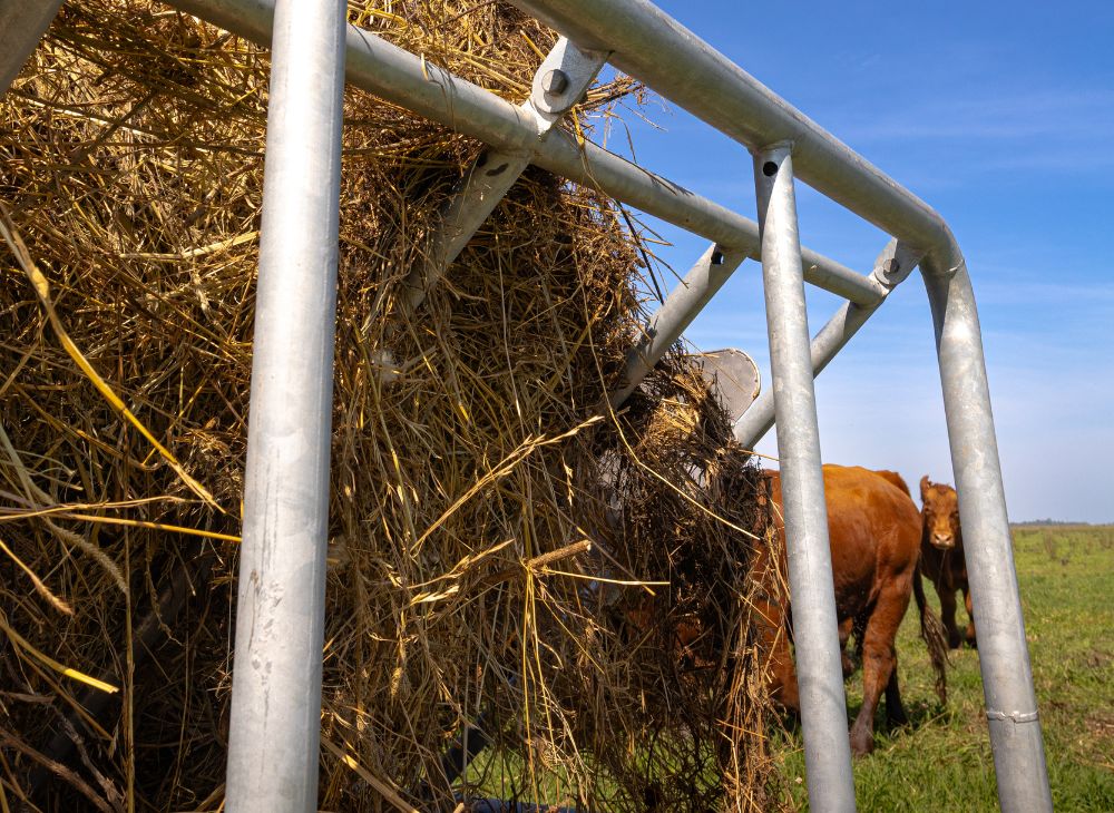 Porta rollo horizontal 4