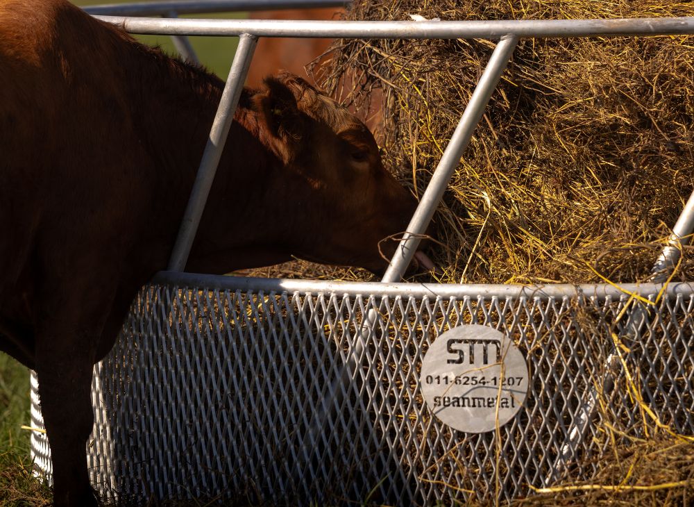 Porta rollo premium 2