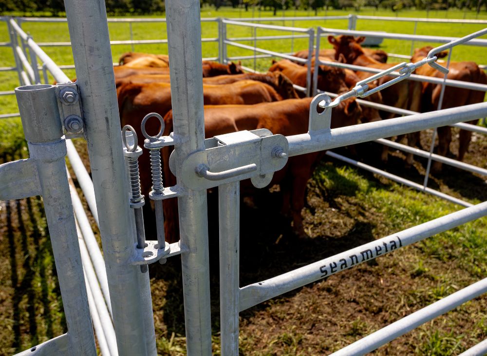 Tranquera con arco 0