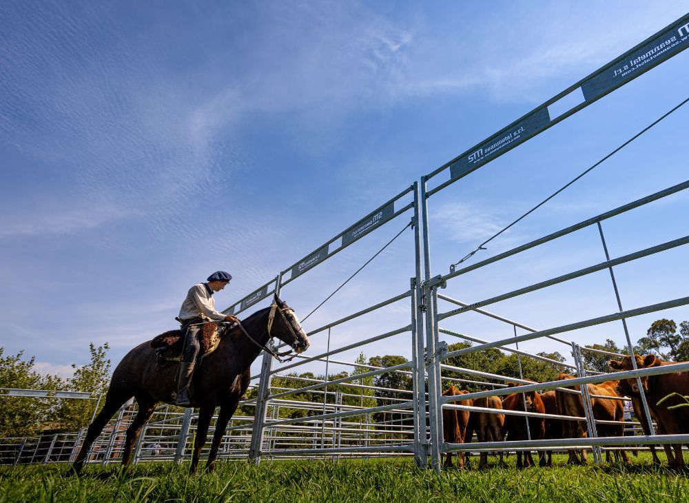 Tranquera con arco 2