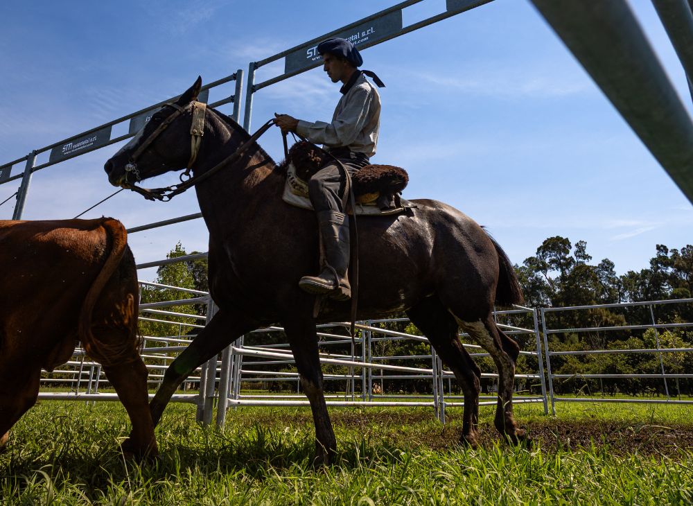 Tranquera con arco 3