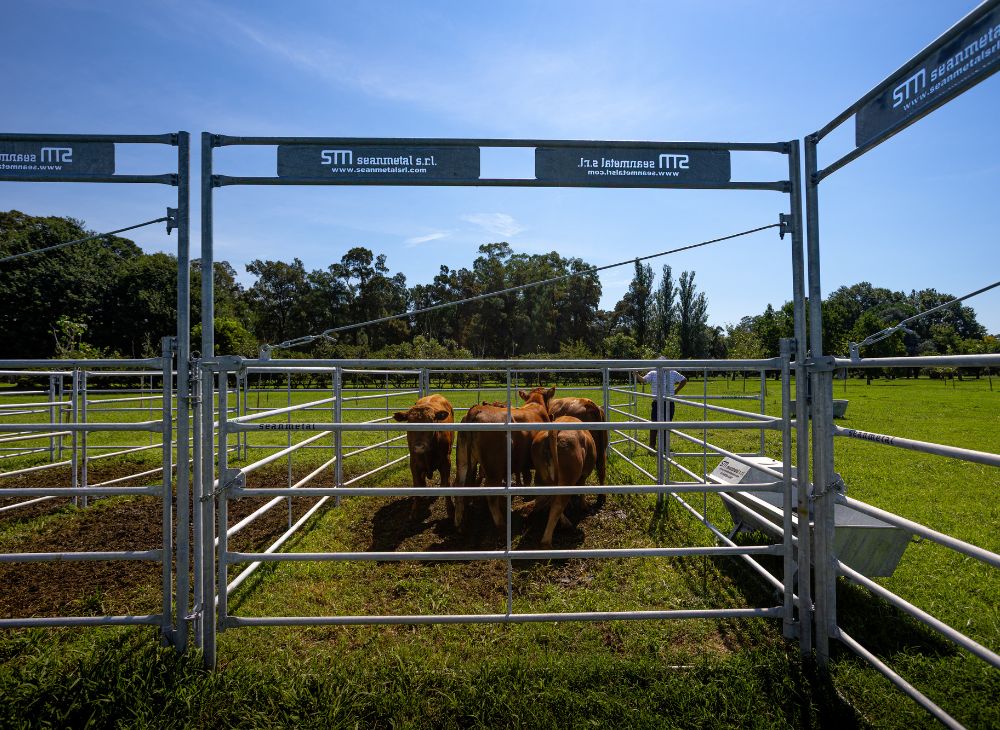 Tranquera con arco 4